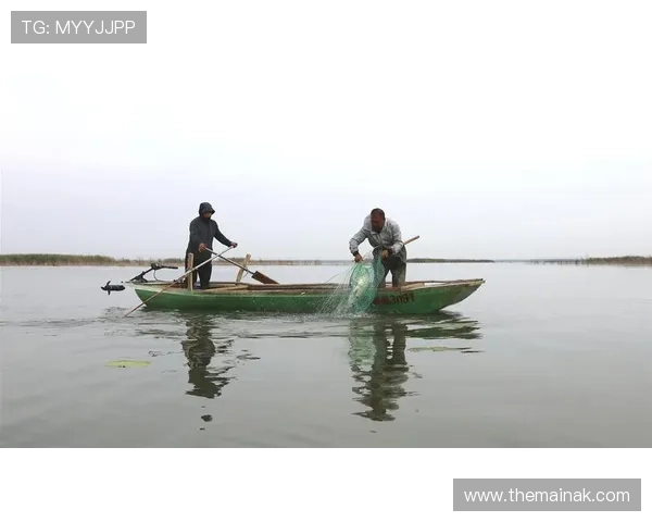 掌握ag捕鱼技巧让你的每一次捕鱼都充满胜利的喜悦